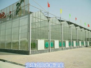 【陽光板溫室和薄膜溫室有什么區(qū)別,各有什么優(yōu)缺點(diǎn)_陽光板溫室價(jià)格|圖片】-